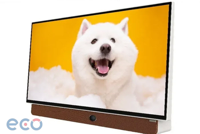 Google Tivi Xách Tay 24LP6000G FHD 24inch