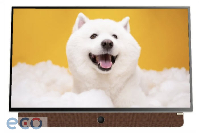 Google Tivi Xách Tay 24LP6000G FHD 24inch