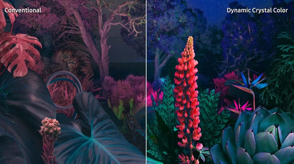 Samsung Smart Tivi Crystal UHD 4K 55 inch UA55DU8000 với công nghệ Dynamic Crystal Color mang lại màu sắc sống động